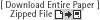 Download Entire Paper - Zipped Files