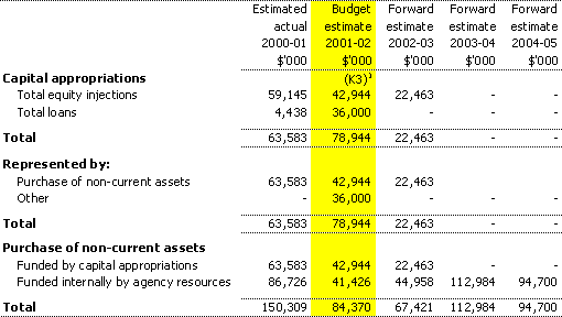 Table 3.4: Agency capital budget statement