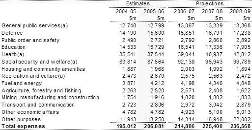 Table�3:  Estimates of expenses by function