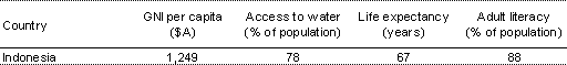 Indonesia development indicators
