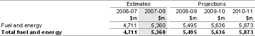 Table 12: Summary of expenses