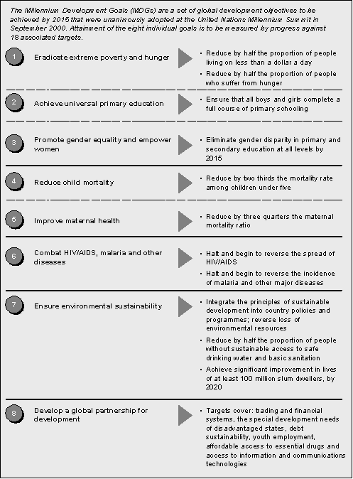 Diagram 1: Millennium Development Goals
