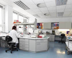 Image: Medical professional seated at a desk