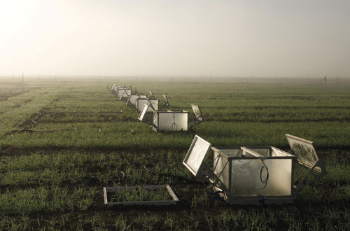 Photo:Greenhouse gas emissions being measured using a fully 
                        automated system