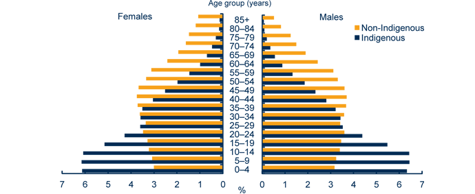 Graph showing Indigenous and non?Indigenous age profiles ‑ as at 30 June 2006