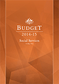 Social Services