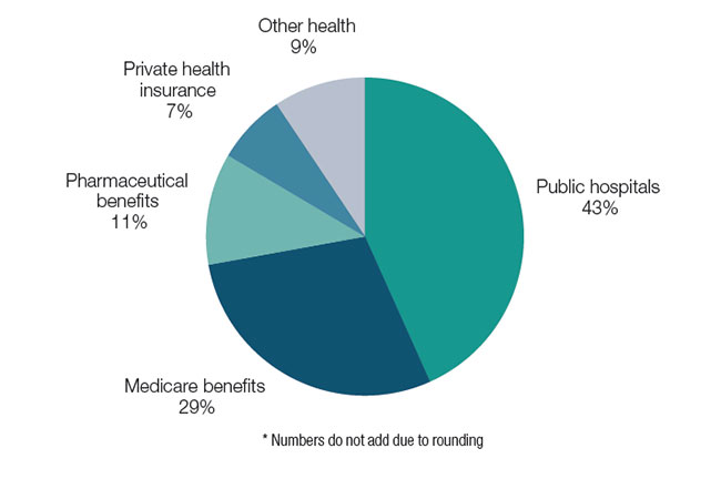 This chart shows contributions to Commonwealth health expenditure growth from 2013-14 to 2024-25 by health component assuming no policy changes in this Budget. Over this period growth in public hospitals funding would have contributed to 43 per cent of health expenditure growth, with Medicare benefits (29 per cent), pharmaceutical benefits (11 per cent), private health insurance (7 per cent) and other health expenditure (10 per cent) also contributing to overall growth.
