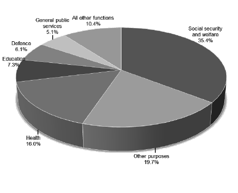 Chart 2: Expenses by function in 2015-16 - Description: Chart 2 shows Government's expenses by function for the period 2015-16.