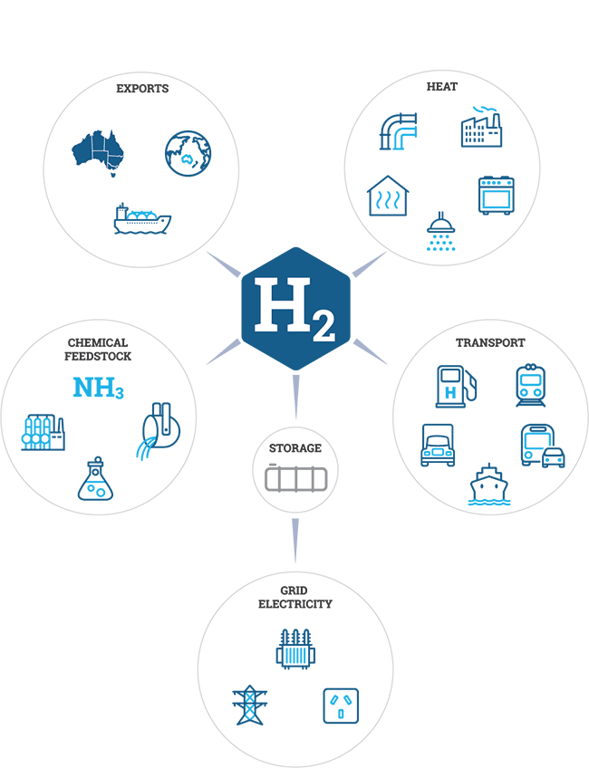 Infographic: The image describes potential uses of Australian hydrogen.